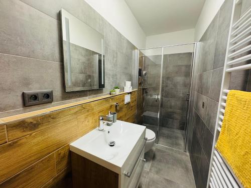 a bathroom with a sink and a toilet and a mirror at Too Apartment Lipno in Černá v Pošumaví