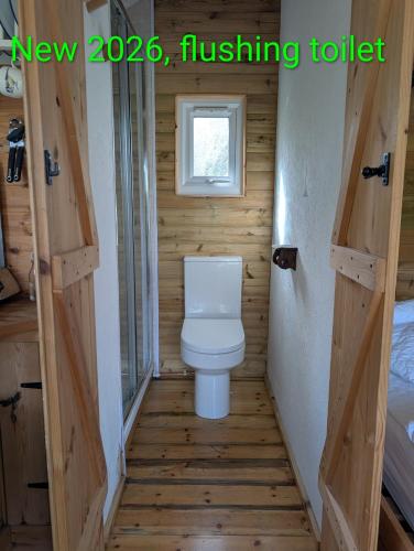 a bathroom with a toilet in a tiny house at Dryw bach glamping hut in Llandeilo
