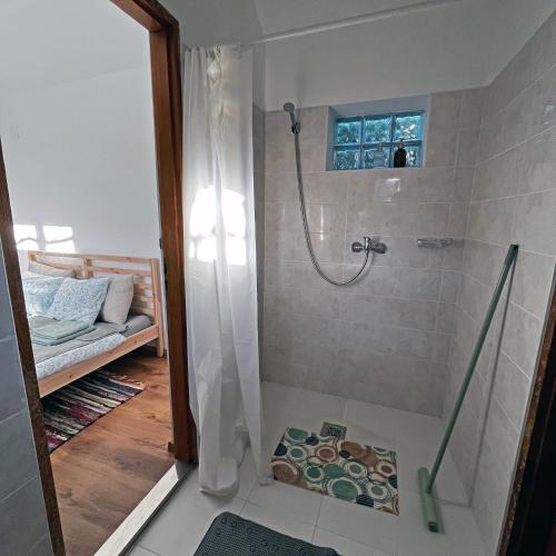 a shower with a glass door in a bathroom at Kisház in Kisoroszi