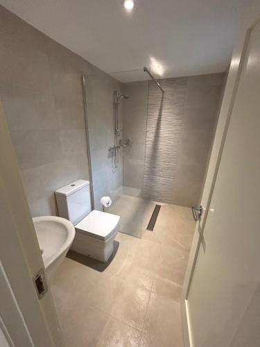 a white bathroom with a toilet and a shower at Colony Retreat in Dingle