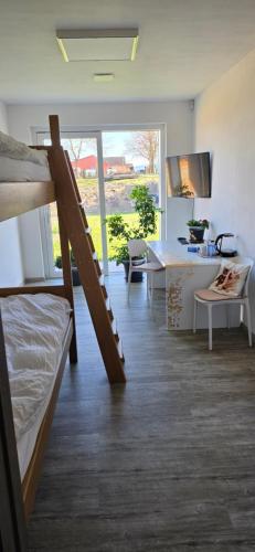 a room with a bunk bed and a desk at Útulný klidný pokoj B in Radošovice