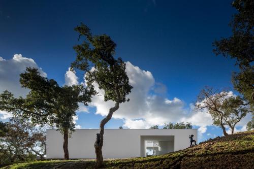 Casa do Carvalheiro l Secluded gem in Alentejo