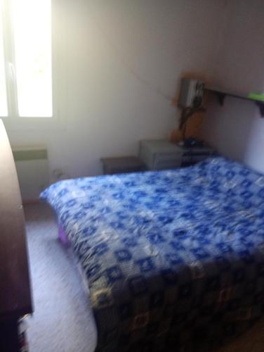 ein Schlafzimmer mit einer blauen Bettdecke auf einem Bett in der Unterkunft Gillet in LʼIsle-sur-la-Sorgue