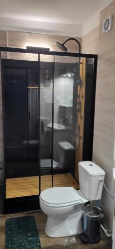 a bathroom with a white toilet and a shower at Garsoniera Ady in Mangalia