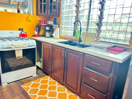 a kitchen with wooden cabinets and a stove top oven at The Howler Jungle House and Cabanas in Belize City