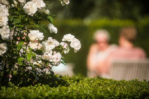 a bush with white flowers with a man in the background at Begijnhof Hotel in Leuven