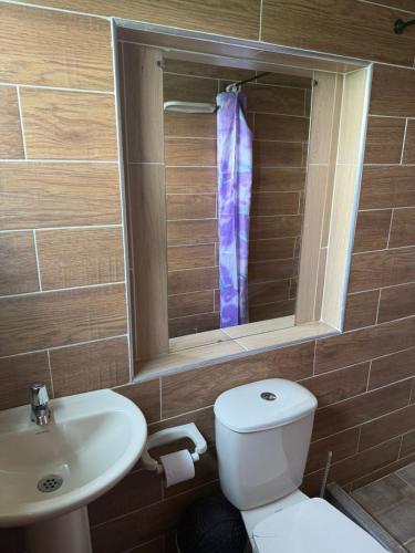 a bathroom with a toilet and a sink and a mirror at La morada in Guayabal