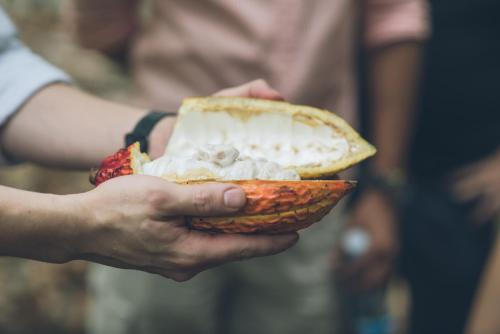 a person is holding a half eaten sandwich at Hotel del Parque in Guayaquil