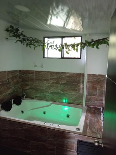a green bath tub in a bathroom with a window at Cabañas Bosque Encanto - Jacuzzi in San Francisco