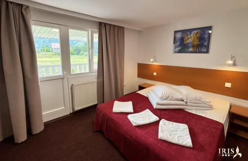 a hotel room with a bed and a window at Pensiunea Iris in Băile Tuşnad