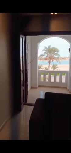 a room with a view of a palm tree from a door at ريم الفلا in Dawwār Abū Maḩrūs