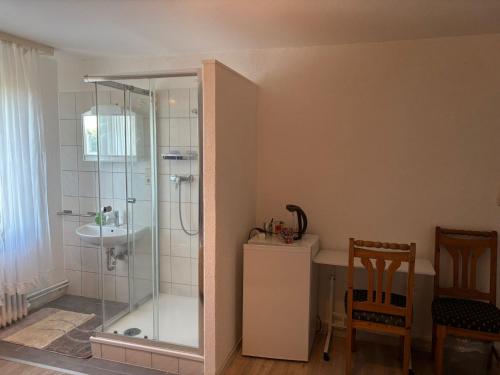 a bathroom with a shower and a sink at Gästezimmer Polster in Birstein