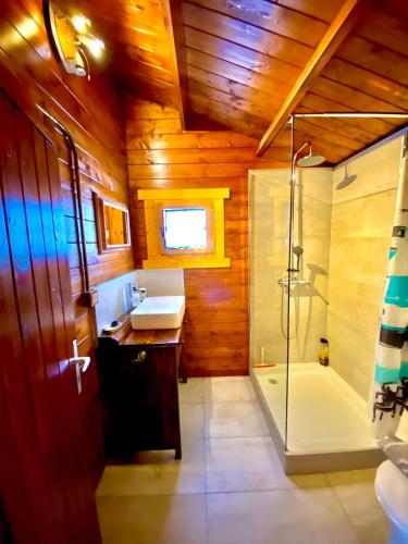 a bathroom with a shower and a sink and a tub at Canary Wild House 2 in Carrizal