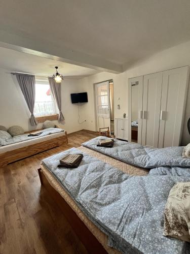 a bedroom with two beds and a television in it at Konyhadűlő Vendégház in Kiskunmajsa