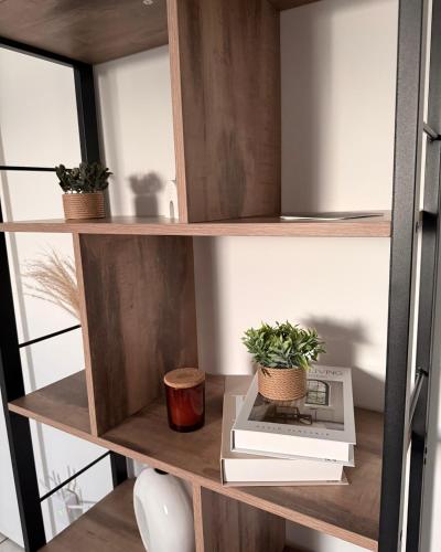 a book shelf with books and plants on it at Ferienhaus Eiforia in Gerolstein