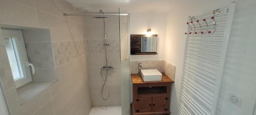a bathroom with a shower and a sink at rêve d'escapade in Mouilleron-en-Pareds
