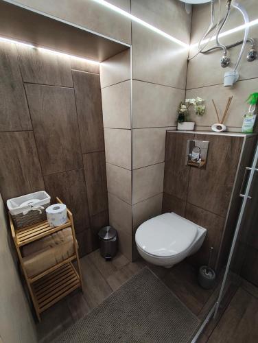 a small bathroom with a toilet and a shower at Kis kuckó in Tapolca