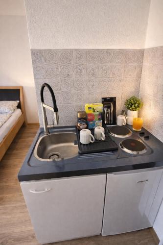 a kitchen with a sink and a counter top at Halalko Konak in Šmarje-Sap