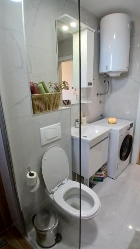 a white bathroom with a toilet and a sink at Koviljača apartman Demetrios in Banja Koviljača