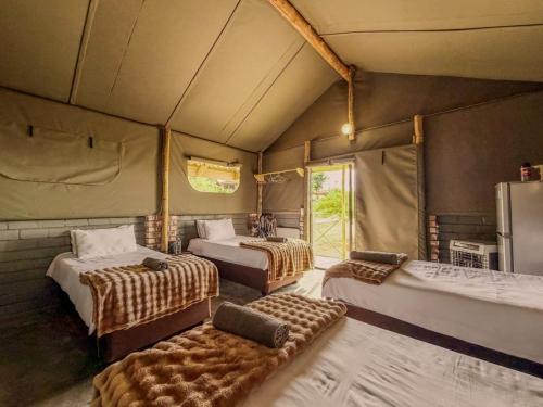 a room with three beds in a tent at Carlo's Mountain Lodge in Usakos