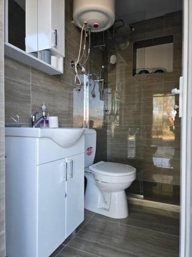 a bathroom with a toilet and a sink and a shower at Olive Grove Retreat Podgorica in Vranj