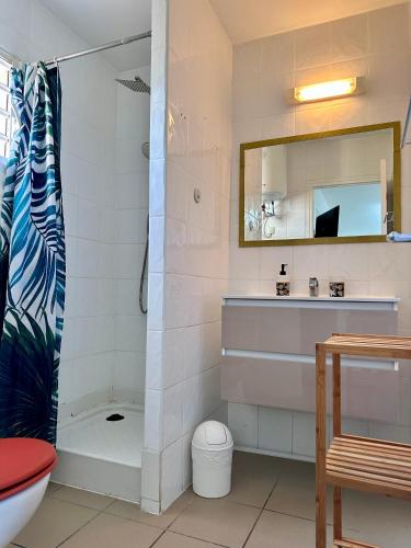 een badkamer met een douche, een wastafel en een toilet. bij Studio Ti Colibri in Saint-François