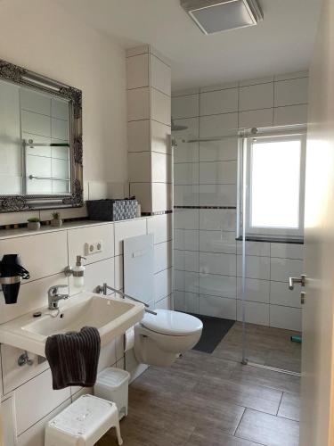 a white bathroom with a toilet and a sink at Schöfferles Ferienwohnung mit Sauna in Keidelheim