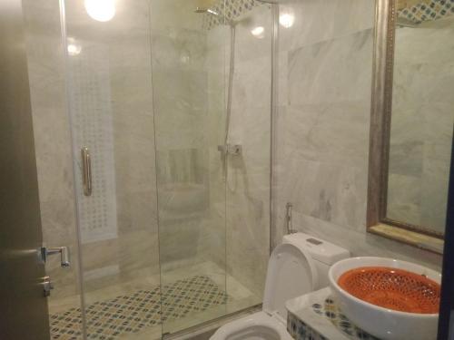 a bathroom with a shower and a toilet at L'appartement en face de la baie in Sidi MʼHamed