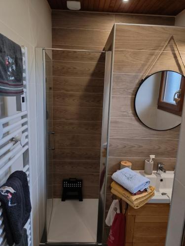 a bathroom with a shower and a sink and a mirror at Le chalet de Maryvonne in Gibles