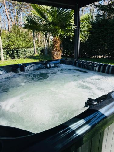 a jacuzzi tub with water in a backyard at Villa Vista in Wassenaar