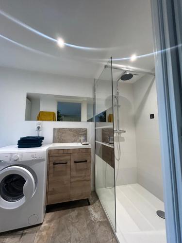 a bathroom with a washing machine and a shower at La Petite Maison in Toutlemonde