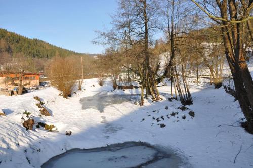 a snow covered field with trees and a pond at Apartmán Kamenný Dům in Jilemnice