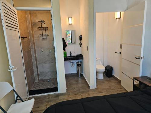 a bathroom with a shower with a toilet and a sink at Casa María in Tonatico