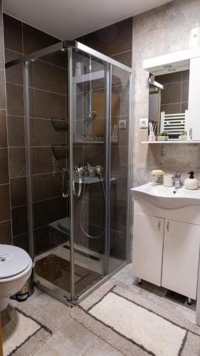 a bathroom with a shower and a toilet and a sink at Mali Raj in Zlatibor