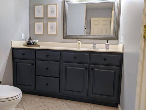 a bathroom with a black sink and a mirror at Hidden Shores in Big Sandy