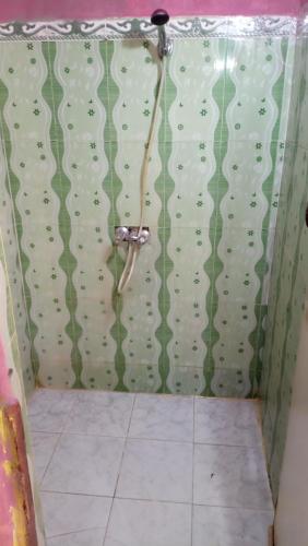 a shower with a green and white shower curtain at Gite ousalem timichi in Timichchi