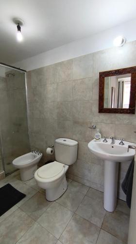 a bathroom with a toilet and a sink at Jujuy Centro 2 in San Salvador de Jujuy
