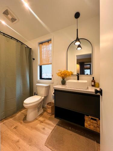 a bathroom with a toilet and a sink and a mirror at Bison Farm - Cabin Brisa in Culpeper