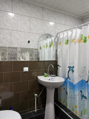 a bathroom with a sink and a toilet and a shower curtain at Vibe Hotel Vanadzor in Vanadzor