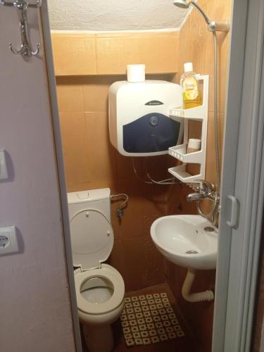 a small bathroom with a toilet and a sink at Holiday home in Rijeka Crnojevića
