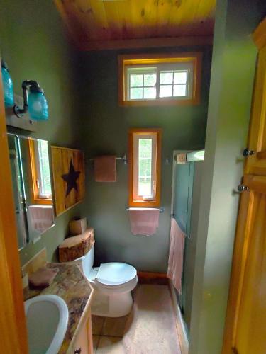 a green bathroom with a toilet and a sink at Bison Farm - Cabin "Vieja" in Culpeper
