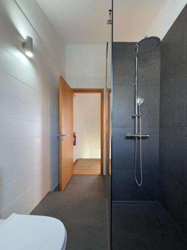 a bathroom with a shower with a glass door at ins Ígnea in Madalena