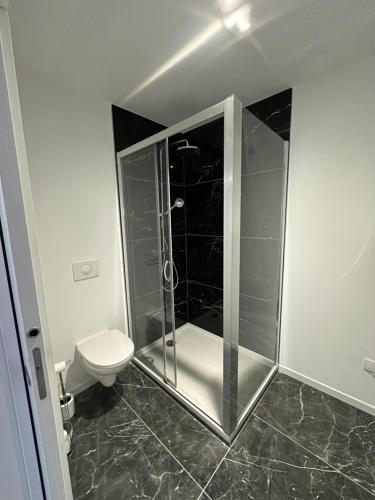 a bathroom with a shower and a toilet at Jacuzzi et cinéma privatif P1 in Pessac