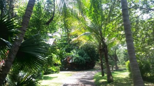 Casa Mymy – Photos 3
