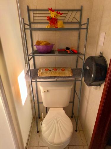 a bathroom with a toilet with a shelf above it at Cómoda habitación para descanso, La casa del artista in Toluca