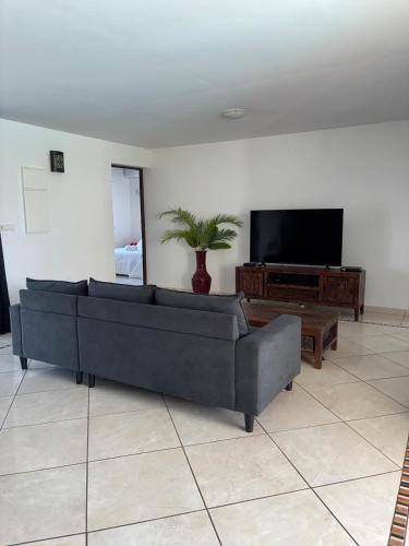 a living room with a couch and a tv at Villa Dulce Caliente au Vauclin in Le Vauclin