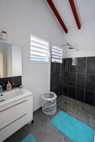 a bathroom with a shower and a sink and a tub at Villa Belle Ile en Mer in Capesterre