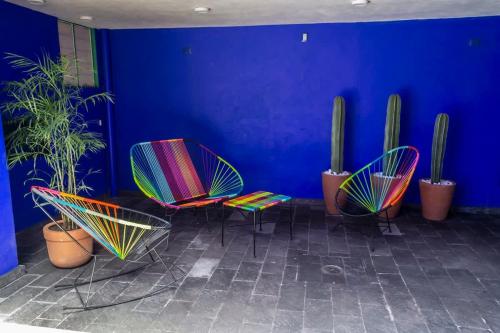 a group of chairs and plants in a room with a blue wall at Dazzling house in the heart of Coyoacan/12 guests in Mexico City
