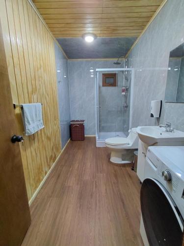 a bathroom with a shower and a toilet and a sink at Siloe in Coihaique