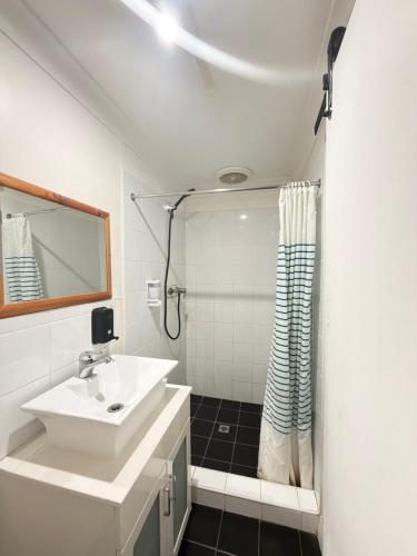a bathroom with a sink and a shower at Alpine Heritage Motel in Goulburn